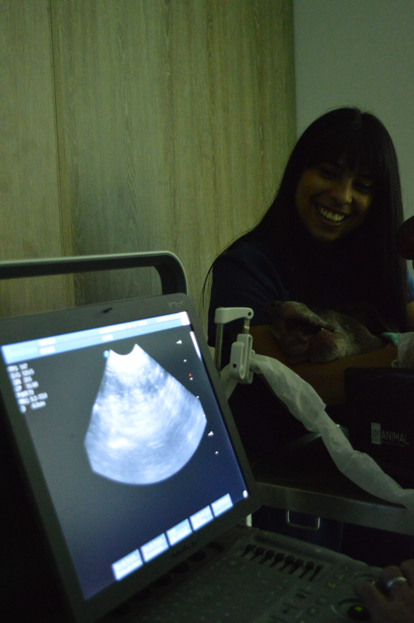 Ayudas Diagnosticas